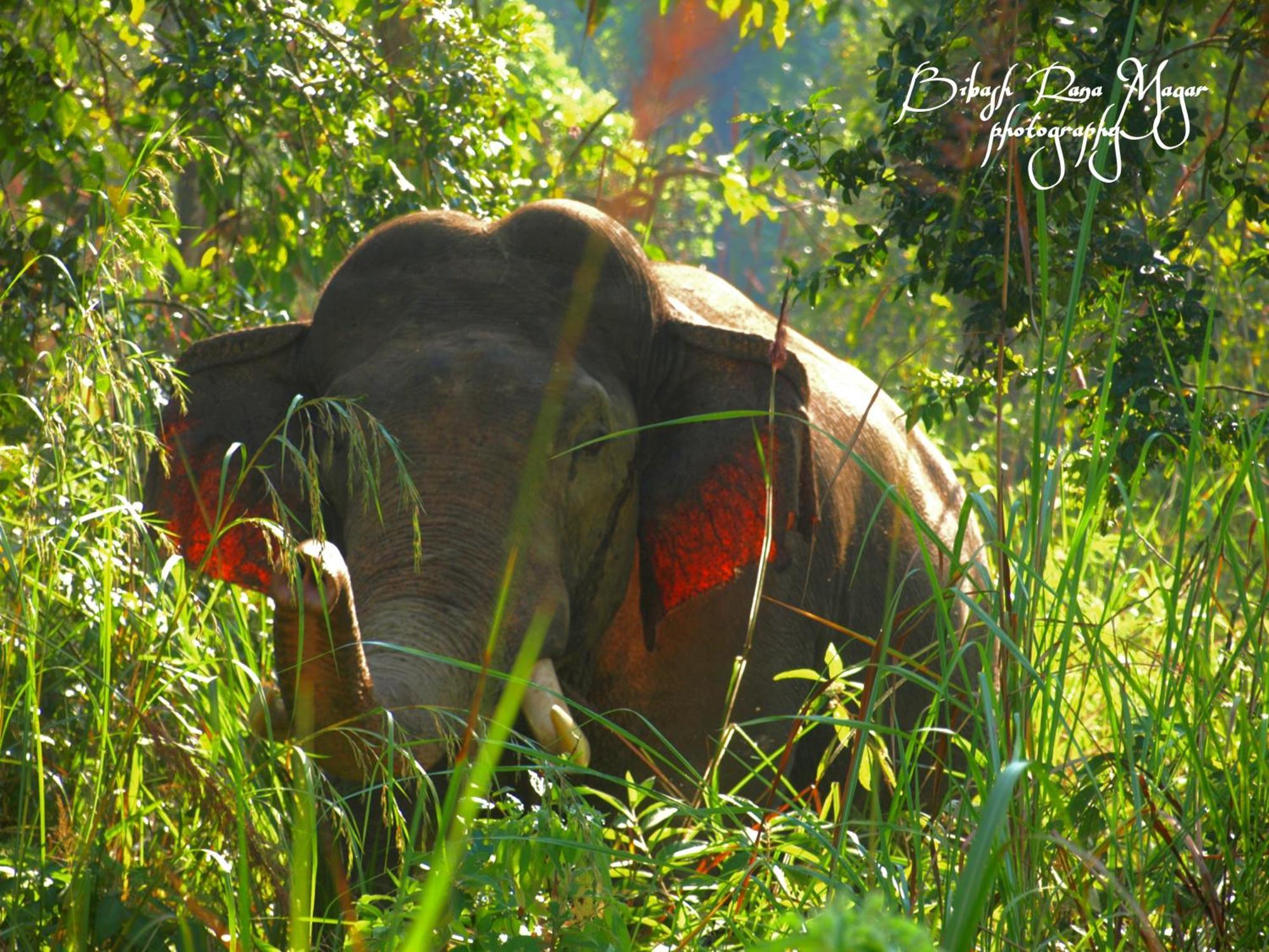 Mr. B'S Place Bardiya Luaran gambar