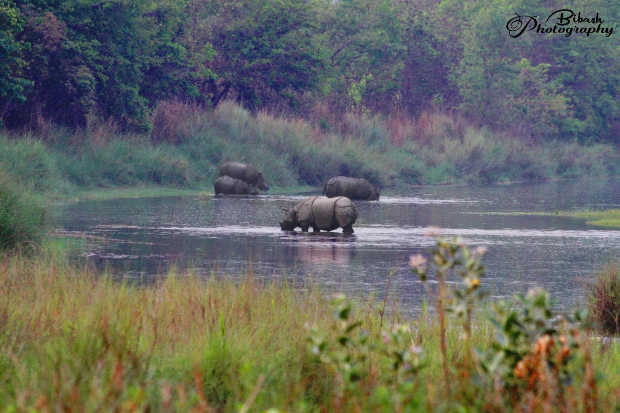 Mr. B'S Place Bardiya Luaran gambar